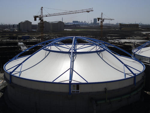 ��ˮ��Ĥ�Y(ji��)��(g��u)�İl(f��)չ �Ƅӭh(hu��n)�����w�ИI(y��)ǰ�M�Ĳ���