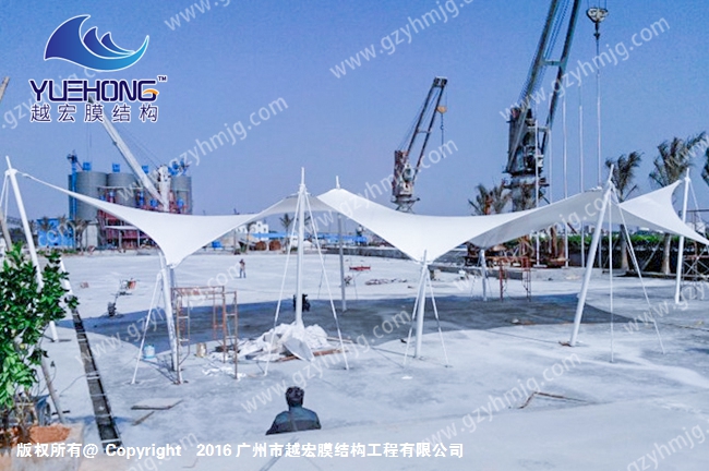 1595301668485576.jpg 1 (8).jpg